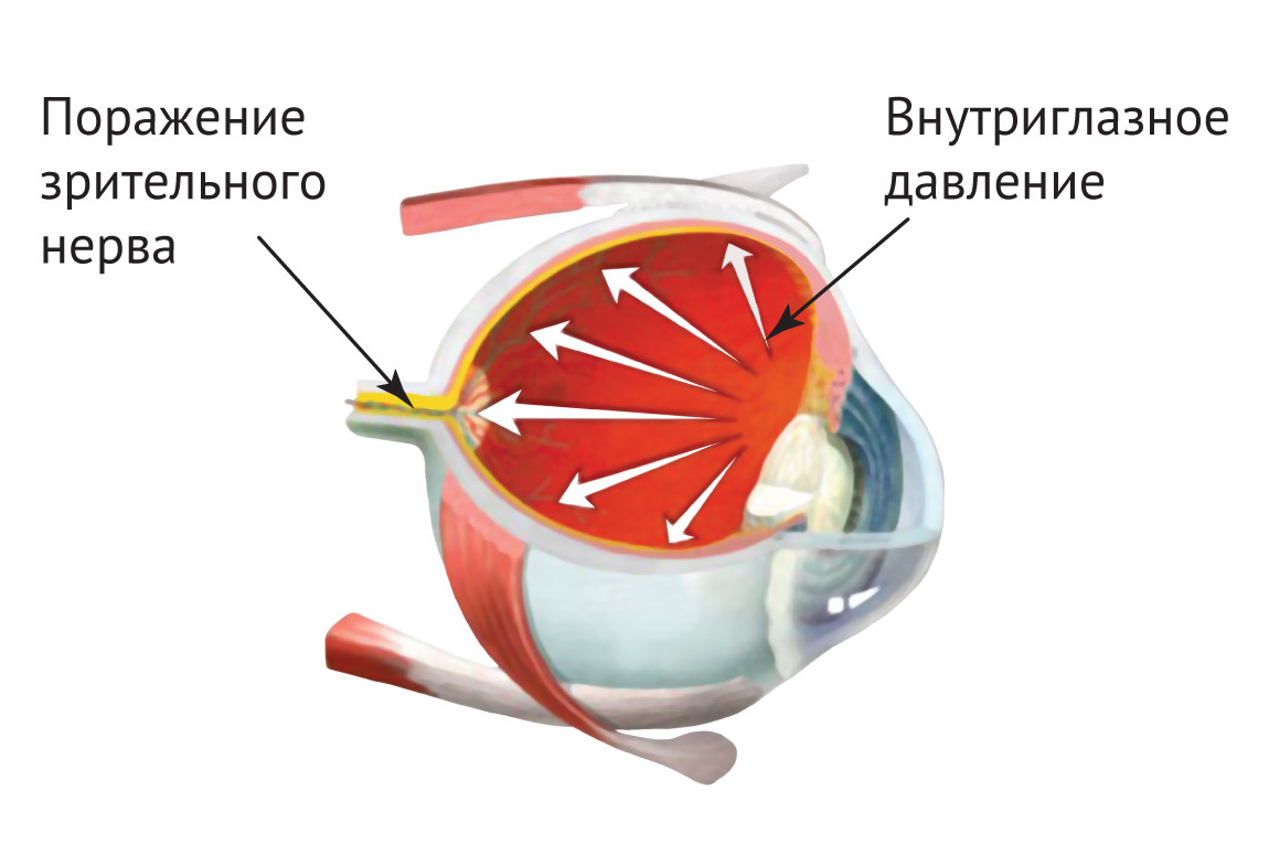Ирифрин БК - глазные капли: инструкция по применению, состав, показания