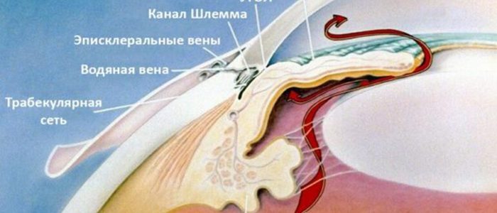 Закрытоугольная глаукома: причины, симптомы, лечение